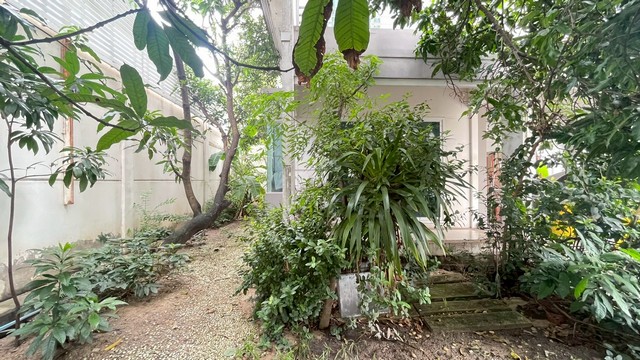 ขายบ้านเดี่ยว 2 ชั้น หมู่บ้านชัยพฤกษ์ วัชรพล L&H หลังริมในสุด พื้นที่รอบบ้านเยอะ ราคาถูกที่สุดในย่านนี้