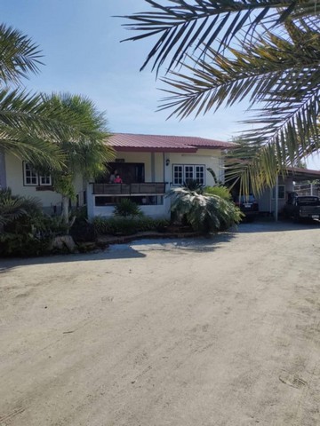 ขายที่ดินบ้านปึก ชลบุรี พร้อมสิ่งปลูกสร้างบ้านเดี่ยว 1 หลัง FP-L01103