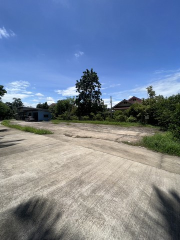 ขายที่ดินพร้อมสิ่งปลูกสร้าง ทำเลทอง ย่านสารภี เชียงใหม่