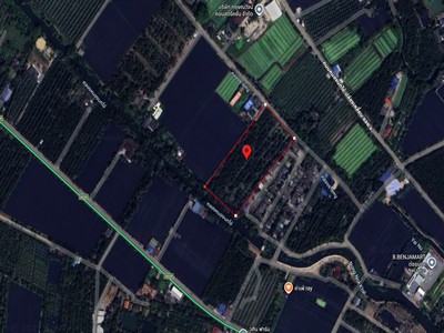 ขายด่วน! ที่ดินพร้อมสวนมะพร้าวบ้านแพ้วกว่า 8 ไร่! ราคาดี ในหนองนกไข่ กระทุ่มแบน สมุทรสาคร ผังเมืองเขียวลาย หน้ากว้าง 80 เมตร ลึก 160 เมตร