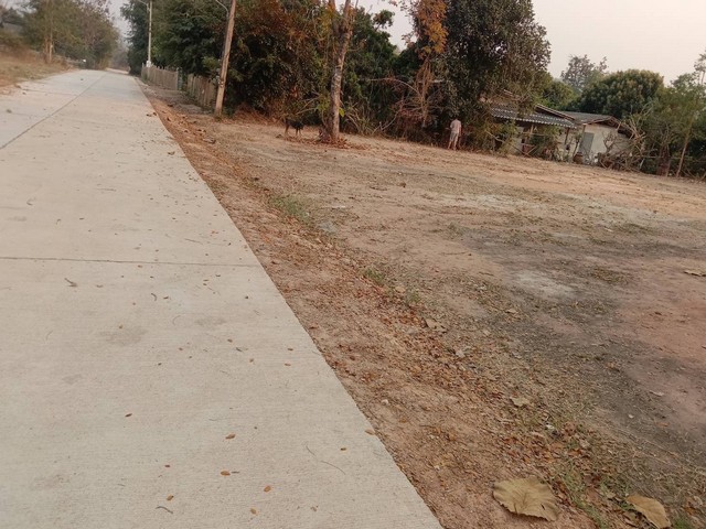 ขายที่ดินแปลงสวย อ.เมืองลำพูน ต.เหมืองจี้ ใกล้ถนนซุปเปอร์ไฮเวย์ลำพูน-ป่าซาง