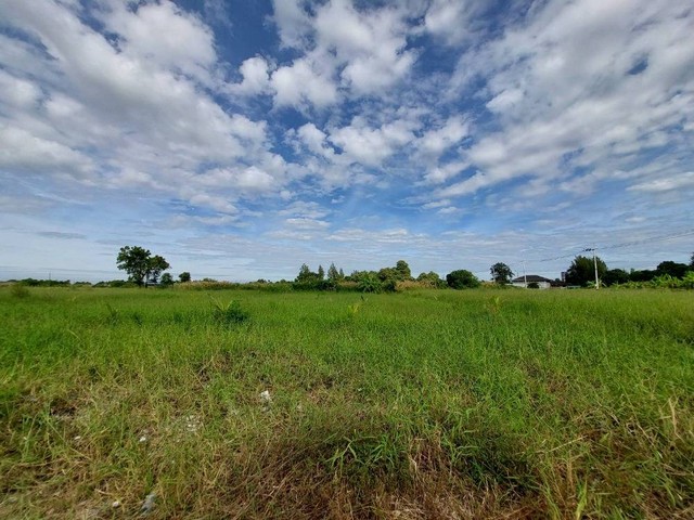 ขายที่ดิน ขายถูก ในซอย สุวินทวงศ์ 96 1ไร่ 13ตรว. ใกล้ถนนใหญ่ 300 เมตร