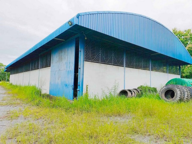 ให้เช่าโกดังเก็บสินค้าเมืองชลบุรี ให้เช่าโกดังคลังเก็บสินค้า กระจายสินค้า ขนาด 800 ต.ร.ม