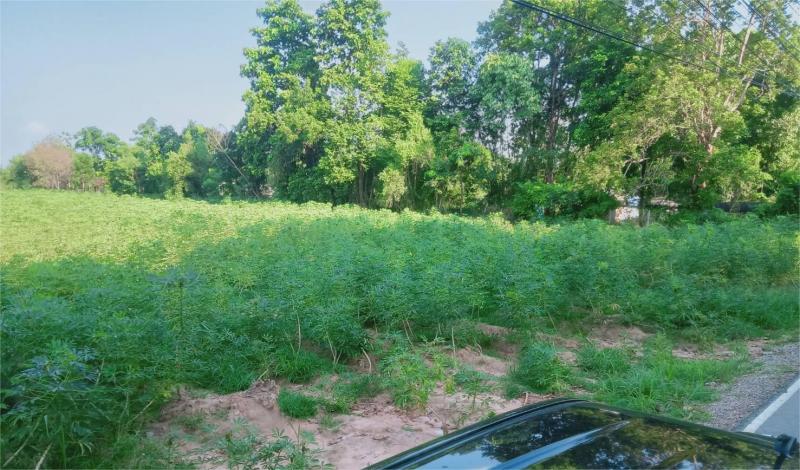 ##ขายที่ดิน 19-1-71 ไร่ ติดถนน 304 ปักธงชัย-ราชสีมา ใกล้สวนสัตว์นครราชสีมาโซน : อำเภอเมือง   นครราชสีมาที่ตั้ง :  ต.ไชยมงคล  อ.เมืองนครราชสีมา  จ.นครราชสีมาลักษณะโดยทั่วไป- ที่ดินแปลงใหญ่ติดถนน 304 ปักธงชัย-ราชสีมา- เนื้อที่  19-1-71  ไร่ ใกล้สวนสัตว์นครราชสีมา- หน้ากว้างติดถนน  77 ม.  ลึก  363  ม., ใกล้แหล่งชุมชน, ธุรกิจค้าขาย- แปลงสวยติดถนน ทำเลดี  น้ำไม่ท่วม- เหมาะสำหรับทำธุรกิจ, โครงกา