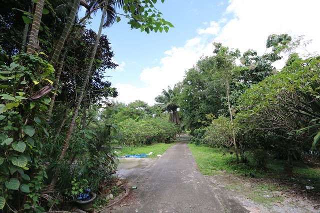 ขายที่ดิน 3-2-41 ไร่ แม่ริม เชียงใหม่ใกล้ Villa Bel Lough  บรรยากาศส่วนตัว  พร้อมต้นไม้ผล  เดินทางสะดวก ราคา 9.5 ล้านบาท (ค่าโอนคนละครึ่ง)ที่ดินผืนนี้ตั้งอยู่ในอำเภอแม่ริม จังหวัดเชียงใหม่ รายล้อมด้วยธรรมชาติ เงียบสงบ ร่มรื่น เหมาะสำหรับ:สร้างบ้านพักตากอากาศทำพูลวิลล่า / โฮมสเตย์ / รีสอร์ตฟาร์มออร์แกนิกขนาดย่อมโครงการสำหรับผู้ที่ต้องการพื้นที่สีเขียวเพื่ออยู่อาศัยระ