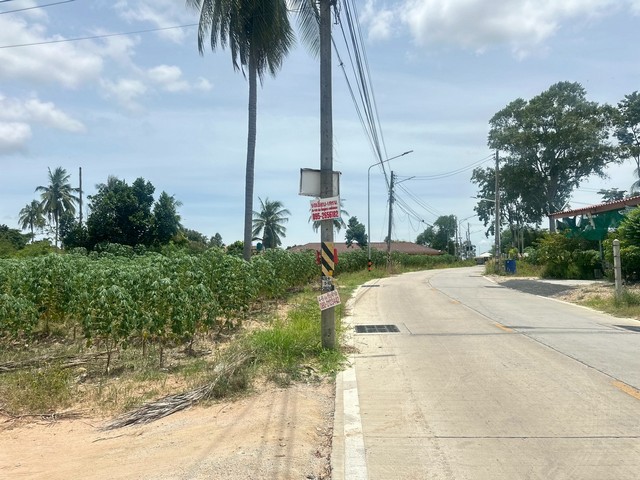 ขายที่ดิน  3-1-22 ไร่  ซอยโป่งกลาง5  ต.โป่ง อ.บางละมุง   ชลบุรี