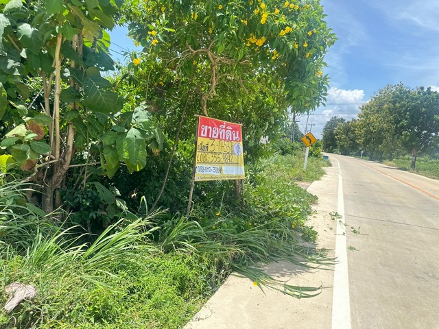 ขายที่ดิน  3-0-53 ไร่  ตำบลหัวถนน อำเภอพนัสนิคม ชลบุรี