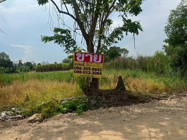 ขายที่ดิน คลอง4  เนื้อที่ 16-1-6 ไร่  คลองหลวง  ปทุมธานี