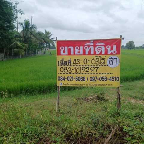 ขายที่นาราคาถูก   43-0-65 ไร่  ใกล้ อบต.บ้านกร่าง  เมืองพิษณุโลก   ZK507