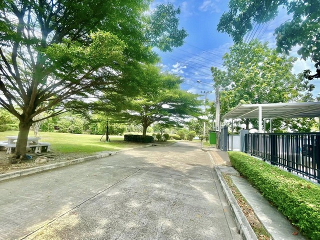 P1104 ให้เช่า บ้านเดี่ยว หมู่บ้านมาสเตอร์พีชพระราม9 Masterpiece หมู่บ้านติดมหาวิทยาลัยนานาชาติแสตมฟอร์ด Stamford