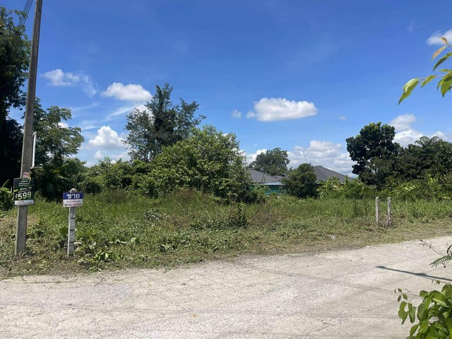 ขายที่ดิน 2 แปลง 2โฉนด ทำบ้านขายได้มีน้ำไฟติดลำเหมืองอ.ดอยสะเก็ด