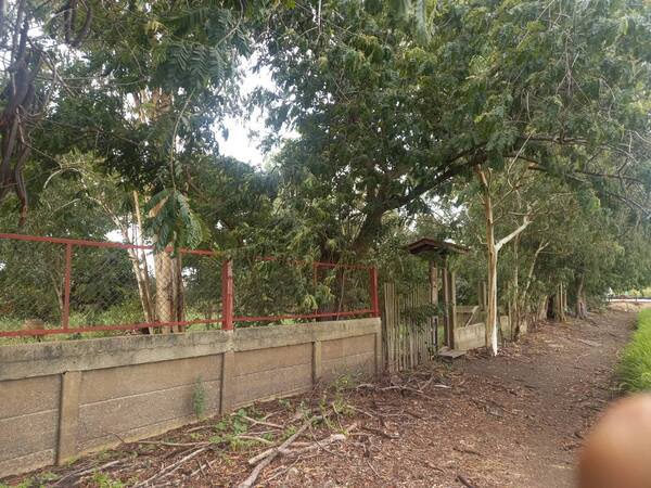 ขายด่วนทีดินเปล่า ขนาด1ไร่ตำบล บ้านแถว อำเภอเสนา จังหวัดพระนครศรีอยุธยา