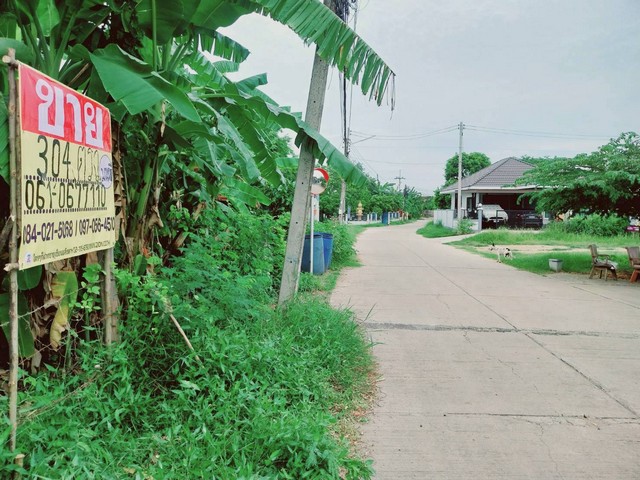 ขายที่ดิน 304 ตารางวา  หนองปลิง  เมืองนครสวรรค์  ใกล้สถานีรถไฟหนองปลิง