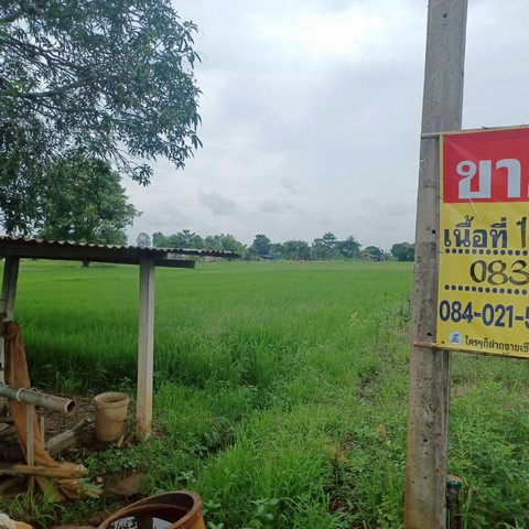 ขายที่ดินราคาถูก ทำเลดี  18-3-06 ไร่  บ้านกร่าง  เมืองพิษณุโลก  ZK508