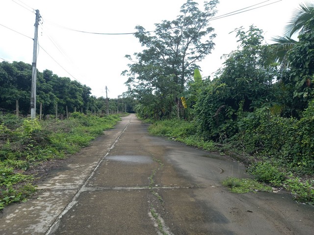 ขายที่ดิน 7-1-10ไร่ 8.7ลบ. สวนลำไย ใกล้ถนนเลียบน้ำปิง40ม. เหมาะทำบ้านจัดสรร โกดัง บ้านท่ามะโก๋ ต.สันทราย อ.สารภี เชียงใหม่