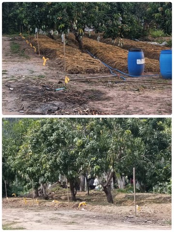 ขายที่ดิน น.ส.3.ก พร้อมบ้านสวน ตำบลแก้มอ้น อำเภอจอมบึง จังหวัดราชบุรี เนื้อที่ 14 ไร่