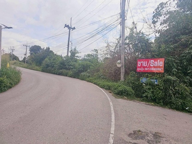 ขายที่ดินปากทางขึ้นเขาใหญ่โคราช-เข้าออกได้ 2 ทาง ใกล้หมู่บ้าน แหล่งชุมชน