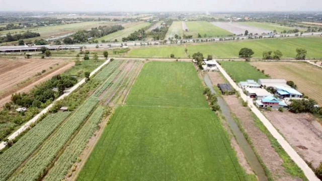 sss511  ขายที่ดิน คลอง 3 คลองหลวง 52 ไร่ ห่างถนนมอเตอร์เวย์100 เมตร