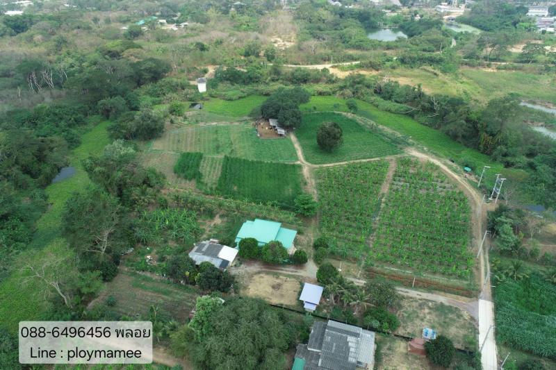 ขายที่ดินเปล่าถูกมาก ปราณบุรี ติดริมน้ำเกือบทั้งแปลง ยาวประมาณ 240 ม.ใกล้วัดแหลมเจ้าสัว ใกล้ค่ายธนะรัชต์