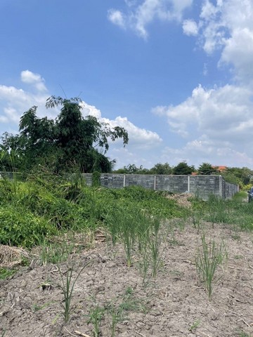 ขายที่ดินหนองจอก กรุงเทพฯ เนื้อที่ 1 ไร่ 4 ตารางวา