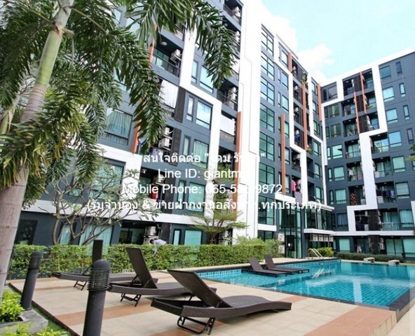 condo. ลิปป์ รามคำแหง 43/1 ราคาดีเยี่ยม