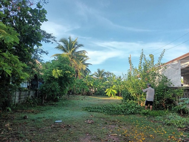  ขายที่ดิน 1 ไร่ 1 งาน 70 ตร.ว. ต.สูงเนิน อ.สูงเนิน จ.นครราชสีมา ทำเลดี ใกล้แหล่งชุมชน บรรยากาศสงบ เหมาะแก่การลงทุน! พิกัด: VRV8+759 ตำบลสูงเนิน อำเภอสูงเนิน นครราชสีมา เหมาะสำหรับ สร้างบ้านพักอาศัย รีสอร์ต โกดัง หรือทำเกษตรกรรม บรรยากาศร่มรื่น เงียบสงบ ลมพัดเย็นสบาย เดินทางสะดวก เข้า-ออกได้หลายเส้นทาง สถานที่สำคัญใกล้เคียง นิคมอุตสาหกรรมสุรนารี ตลาดสูงเนิน แหล่งจับ