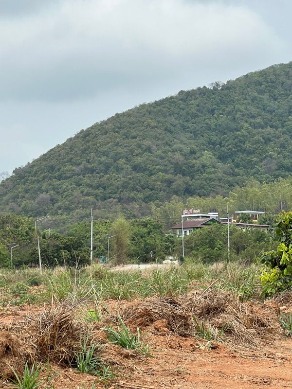 ขายที่ดินวิวภูเขา ใกล้สุขุมวิท – บรรยากาศโคตรดี! อำเภอสัตหีบ จังหวัดชลบุรี