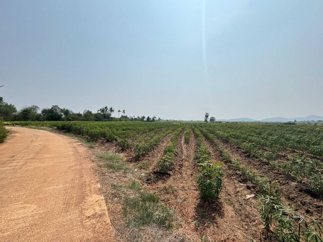 ขายที่ดินวิวภูเขา กาญจนบุรี ทำเลดี เหมาะทำบ้านสวน รีสอร์ท ติดทางสาธารณะ