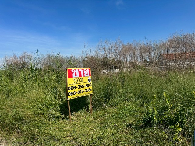 ขายที่ดิน 300 ตารางวา  คูบางหลวง  ลาดหลุมแก้ว   ปทุมธานี