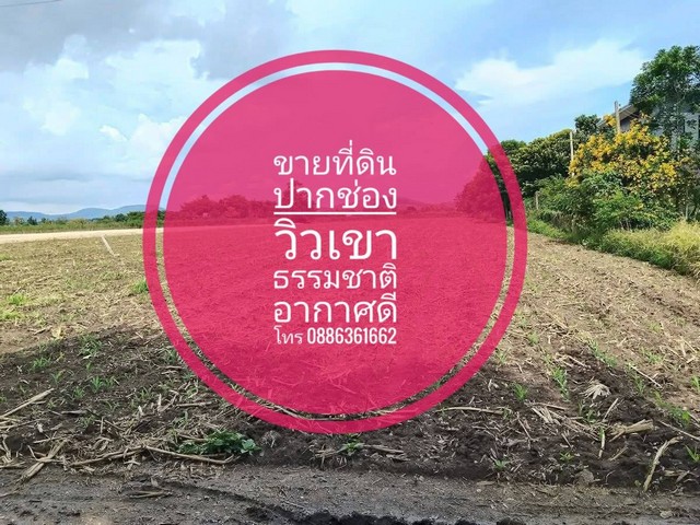 ขายที่ดิน อำเภอปากช่อง เขาใหญ่ นครราชสีมา ถ.มิตรภาพ 5กม. วิวเขา ธรรมชาติ อากาศดี