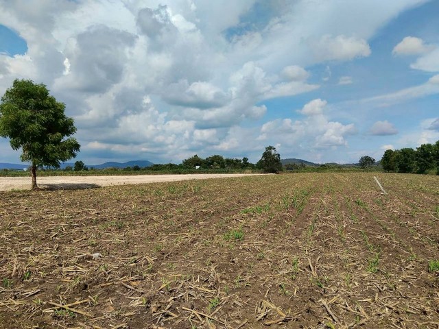 ขายที่ดิน อำเภอปากช่อง เขาใหญ่ นครราชสีมา ถ.มิตรภาพ 5กม. วิวเขา ธรรมชาติ อากาศดี