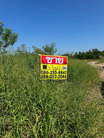 ขายที่ดินเปล่า 1-1-0 ไร่  โครงการบางปะกง ริเวอร์ไซด์   บ้านโพธิ์  ฉะเชิงเทรา