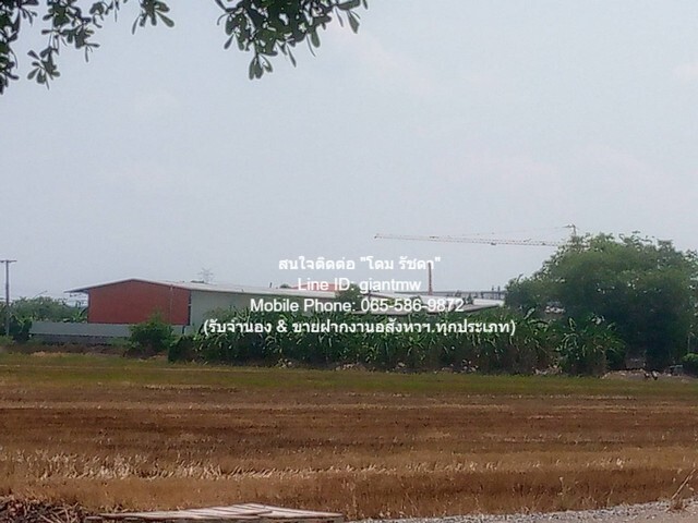 ที่ดิน ที่ดินใกล้วัดต้นเชือก บางใหญ่ จ.นนทบุรี 79029000 thb  พื้นที่เท่ากับ 69 ตร.วา 0 Ngan 13 Rai ใกล้กับ มอเตอร์เวย์บางใหญ่ 1 กม. ราคางาม