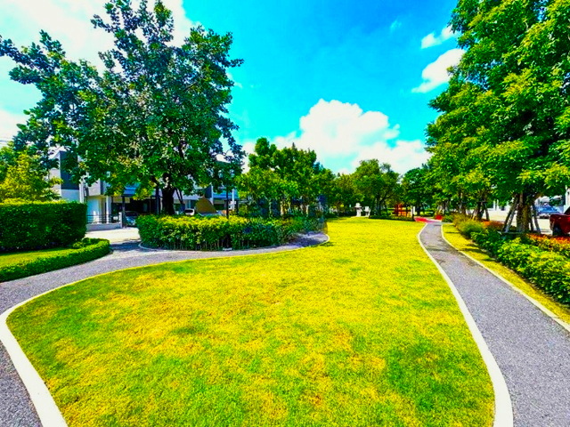 ให้เช่าทาวน์โฮมพรีเมียม 2 ชั้นทำเลดี  ติดเมกาบางนา  นานาชาติสิงคโปร์1.8 กม.ทำเลดี พลีโน่ สุขุมวิท-บางนา  ช้อปปิ้ง  