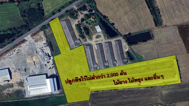 ขายที่ดินพร้อมสวนไม้เศรษฐกิจ 35 ไร่ 68 ตร.ว. โฉนดครุฑแดง ติดถนนสาย 1119 อ.พนมรอก ท่าตะโก จ.นครสวรรค์ เพียง 8.5 ล้านบาท