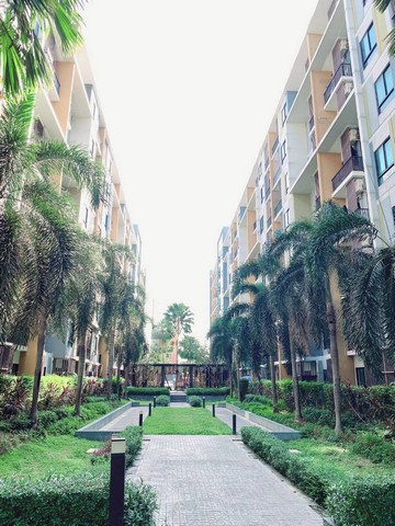 ขายไอคอนโดสุขุมวิท 105 ขายคอนโดลาซาลสุขุมวิทส่วนกลางมี ฟิตเนส สระว่ายน้ำ ห้องซักผ้าครบสะดวกสบายมากๆ