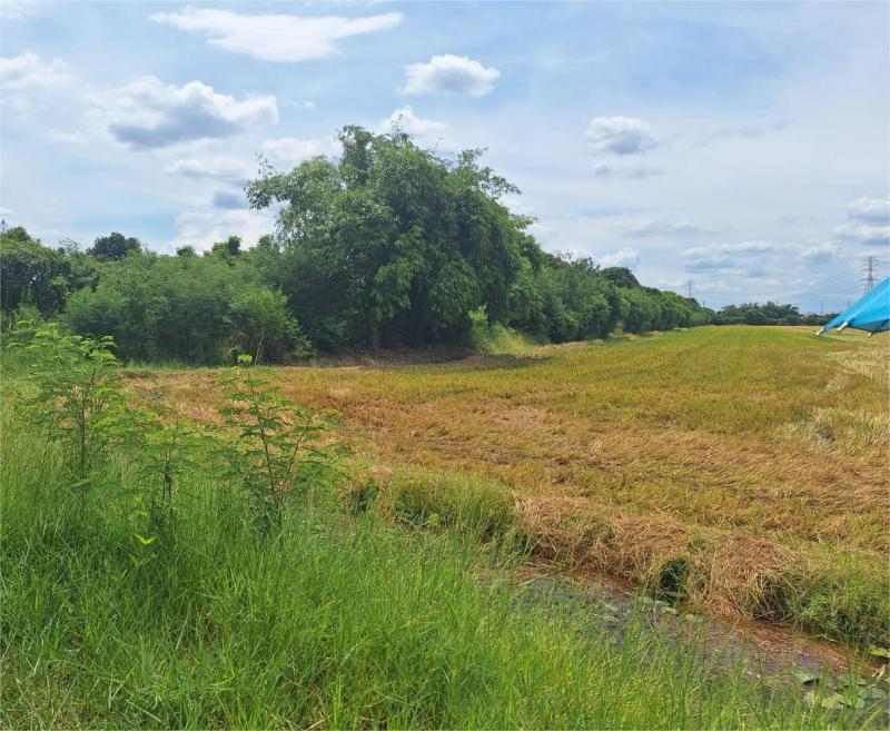 ##ที่ดินเปล่า 10-1-25 ไร่ ใกล้ ม.เกษตร กำแพงแสน จ.นครปฐมโซน : บางปลา  นครปฐมที่ตั้ง :  ต.สามง่าม  อ.บางปลา  จ.นครปฐมลักษณะโดยทั่วไป- ที่ดินเปล่า ทำเลสวย ใกล้ ม.เกษตร กำแพงแสน- เนื้อที่  10-1-25  ไร่, ใกล้สนามบินกำแพงแสน- หน้ากว้าง  69 ม.  ลึก  343 ม., ใกล้แหล่งชุมชน, สถานที่ราชการ- ทำเลแห่งอนาคต ติดคลอง มีน้ำใช้ตลอดทั้งปี- เหมาะสำหรับนักลุงทุน, ทำธุรกิจ, สร้างรีสอร์ท, ที่อยู่อาศัย, ลงทุนเก็