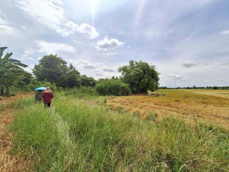 ที่ดินเปล่า 10-1-25 ไร่ ใกล้ ม.เกษตร กำแพงแสน จ.นครปฐม