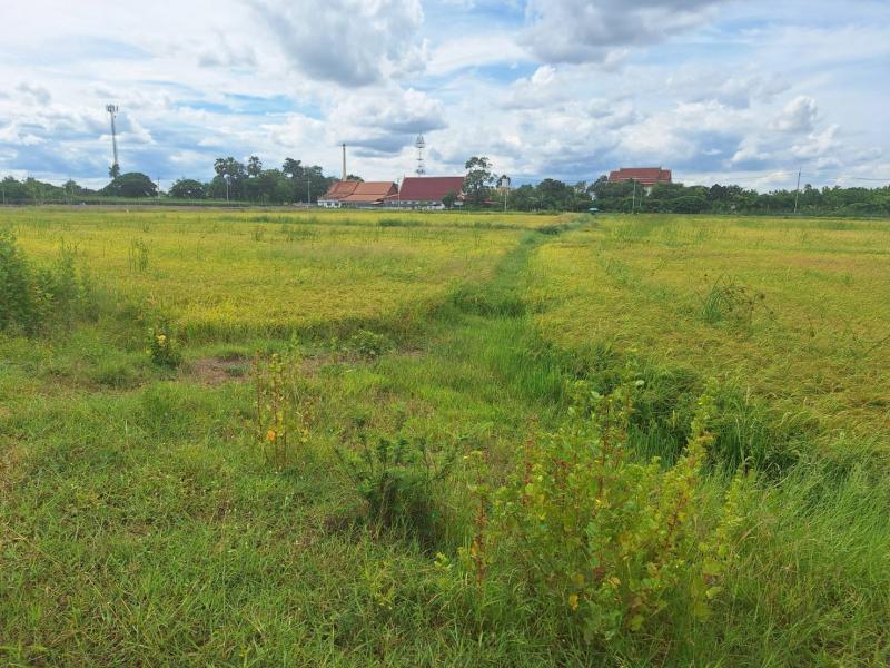 ##ที่ดินเปล่า 4-0-25.5 ไร่ ใกล้สนามบินกำแพงแสน นครปฐมโซน : กำแพงแสน  นครปฐมที่ตั้ง :  ต.สระพัฒนา  อ.กำแพงแสน  จ.นครปฐมลักษณะโดยทั่วไป- ที่ดินเปล่า ทำเลดี ติดถนน ใกล้สนามบินกำแพงแสน นครปฐม- เนื้อที่  4-0-25.5  ไร่, ใกล้ ม.เกษตร กำแพงแสน- หน้ากว้างติดถนน  88 ม.  ลึก  180 ม., ใกล้แหล่งชุมชน, บรรยากาศสวย น่าอยู่อาศัย- แปลงสวยติดถนน ทำเลดี  ติดคลอง, มีน้ำใช้ตลอดทั้งปี- ใกล้สถานที่ราชการ, วัด, แห