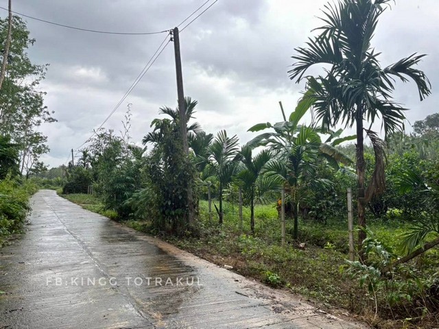 ขายที่ดิน อำเภอควนขนุน จังหวัดพัทลุง เนื้อที่ 4 ไร่ 3 งาน  โฉนดครุฑแดง