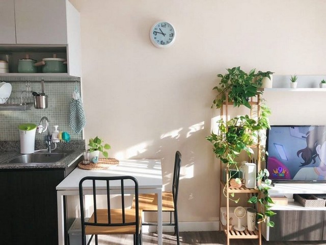 ขายคอนโดพร้อมอยู่ G Condo ศรีราชา ฟรีโอน ราคาถูก 1.45 ล้าน TP-C1626