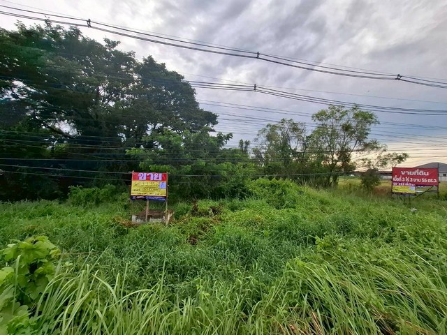 ขายที่ดินสวยติดถนน 3-3-55 ไร่  นาดี  เมืองอุดรธานี   ใกล้สนามบินนานาชาติอุดรธานี    ZT784  