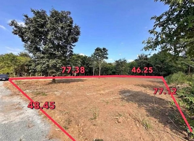 ขายที่ดินเปล่าบางพระ ศรีราชา ฮวงจุ้ยดี หลังเขา หน้าเห็นวิวทะเล FP-L01175 