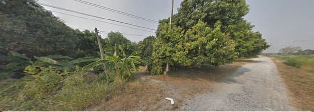 ขายที่ดินแปลงสวย ทำเลดี พร้อมสิ่งปลูกสร้าง บ้านสวน ชลบุรี FP-L01174