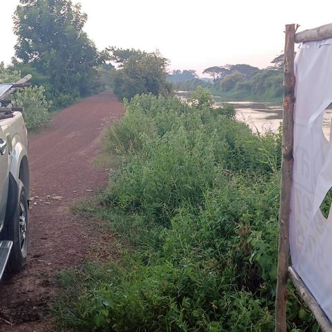 ขายที่นาสวย 6-3-63 ไร่  ติดคลองชนประทาน จอมทอง  เมืองพิษณุโลก  ZK534