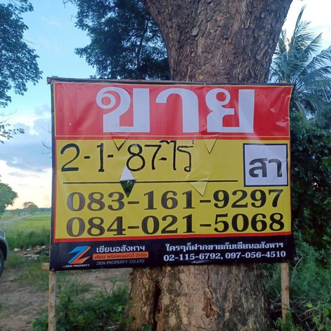 ขายที่นาสวย 2-1-87 ไร่  ติดคลองชนประทาน บ้านท่าตะเคียน  จอมทอง  เมืองพิษณุโลก   ZK530