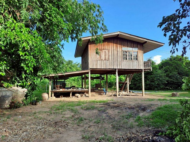 ขายที่ดินเปล่า 21-1-60 ไร่  ใจกลางชุมชน  พยุหะคีรี  นครสวรรค์   ZK535 