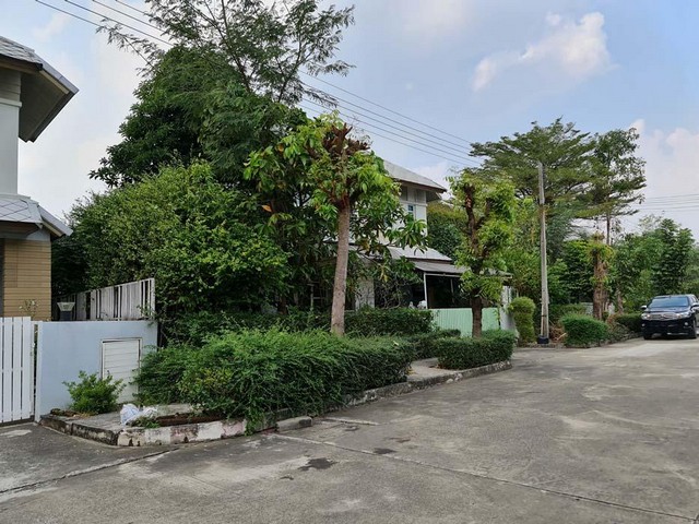 ขาย บ้านเดี่ยว สิริวลัย ธัญบุรี ปทุมธานี ถนน รังสิต-นครนายก PTT10254