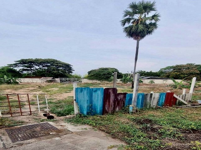 ขายที่ดิน โซนหาดจอมเทียน พัทยา ซอย 2 วัดบุณย์กัญจนา ถนนคอนกรีต TP-L1641