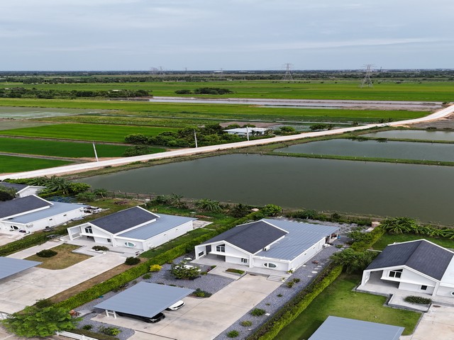 ขายที่ดินถูกที่สุดในย่านนนทบุรี ใกล้BigC ไทรน้อยแค่ปากซอย 5,900/ตรว.